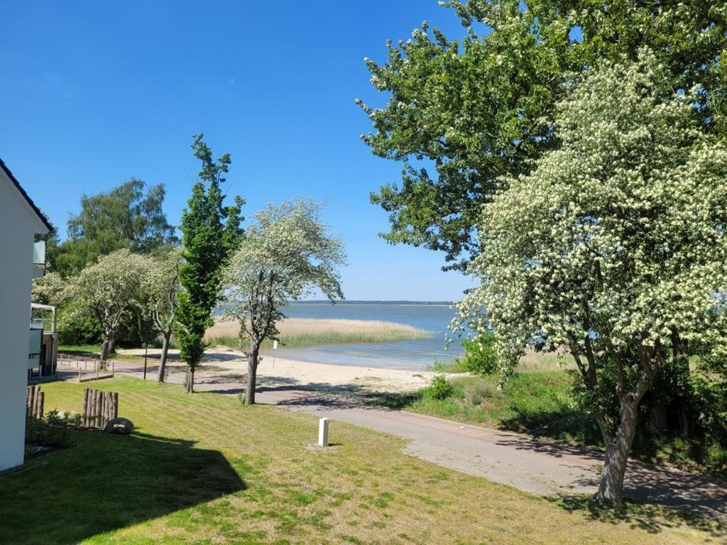 Baltic Lagoon Resort Direkt Am Meer Fuhlendorf  Exterior foto